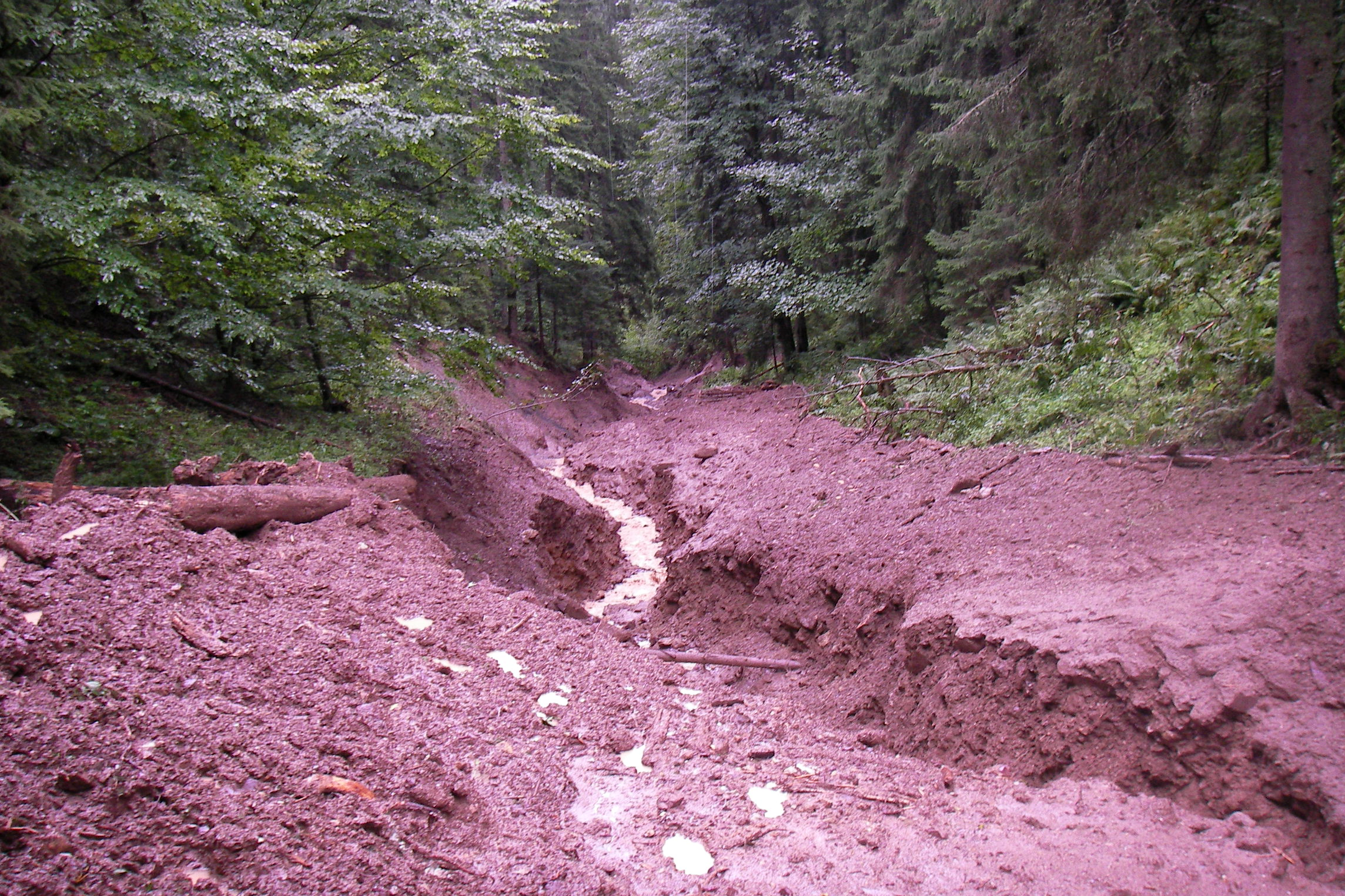 Debris-flood event, 2007 Tullbach (AUT)