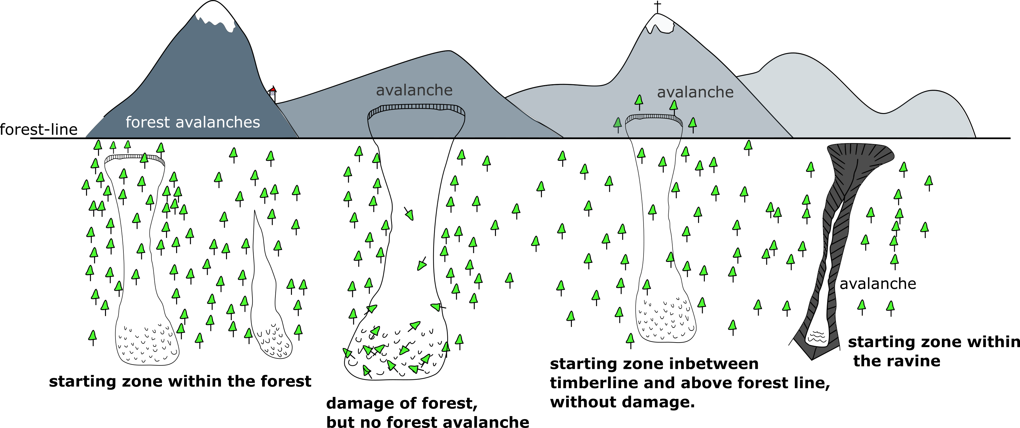 Distinction between forest avalanches and non-forest avalanches. Modified according to [@Meyer-Grass1987a]