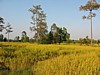 IMG_6403.JPG