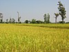 IMG_6417.JPG