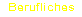 Beruflicher Werdegang